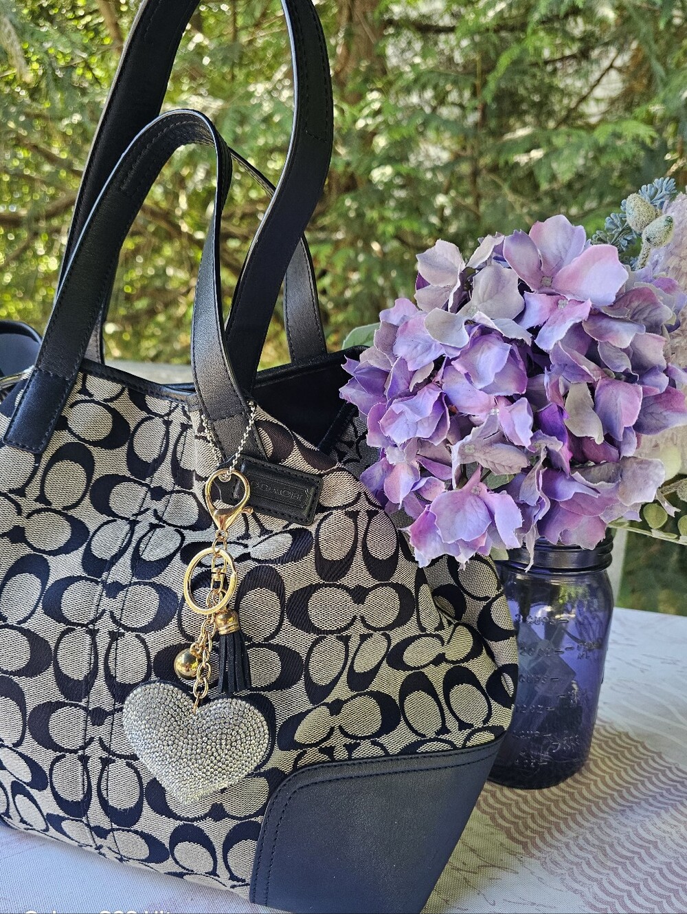 Authentic Coach Hadley Limited Signature Bag Black & Grey - Picture 5 of 12